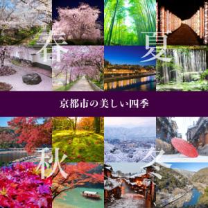 ふるさと納税 京都市 【龍村美術織物】早雲寺テ...の詳細画像2