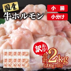 ふるさと納税 西都市 訳あり国産牛ホルモン2kg(小腸)牛もつ小分け200g×10　もつ鍋焼肉に[3...