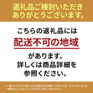 ふるさと納税 小郡市 庭園用バレルサウナ 1....の詳細画像1