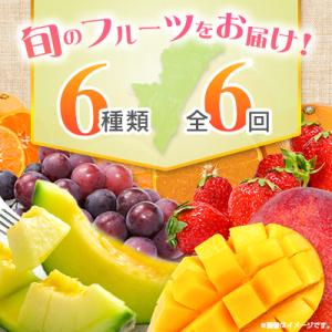 ふるさと納税 宮崎県 【奇数月6回定期便】南国...の詳細画像3