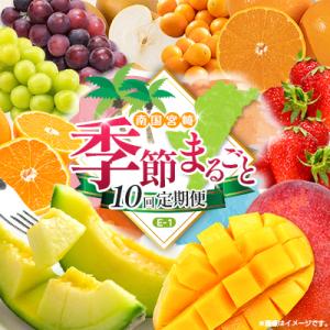 ふるさと納税 宮崎県 【10回定期便】南国宮崎産人気フルーツ詰め合わせ(E-1コース M500)