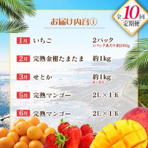 ふるさと納税 宮崎県 【10回定期便】南国宮崎...の詳細画像1