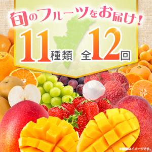 ふるさと納税 宮崎県 【12回定期便】南国宮崎...の詳細画像3