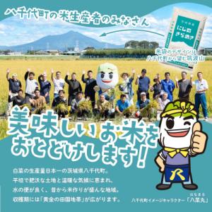 ふるさと納税 八千代町 令和7年産 茨城県産 ...の詳細画像2