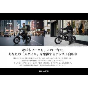 ふるさと納税 名古屋市 BLAZE スタイル ...の詳細画像1