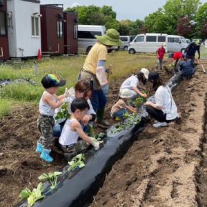 ふるさと納税 小郡市 子育て支援活動を応援!返...の詳細画像3