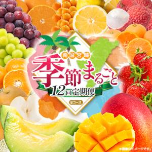 ふるさと納税 宮崎県 【12回定期便】南国宮崎産人気フルーツ詰め合わせ(Bコース M200)