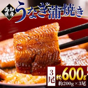 うなぎの蒲焼き 約200g 3尾(高知県産) 計約600g フジ物産 国産 fb-0160