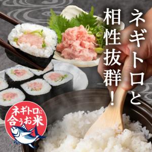 ふるさと納税 焼津市 令和7年産 ネギトロに合...の詳細画像1