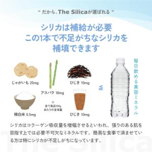 ふるさと納税 米子市 The Silica ラ...の詳細画像3