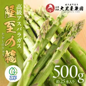ふるさと納税 下呂市 (2026年5月から順次発送)高級アスパラガス 隆至の龍 500g 期間限定【119-3】
