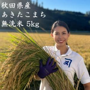 【米農家直送】特Aランク厳選秋田県産あきたこまち【無洗米5kg】[B6-2302]