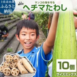 ふるさと納税 土佐清水市 サンゴの海を守る エコ ヘチマたわし スポンジ サイズミックス 10個【R...