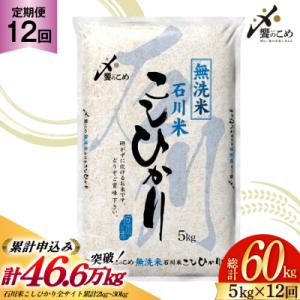定期便 無洗米 石川米 こしひかり 5kg×12回 総計60kg [38601338-s]
