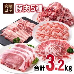 宮崎県産豚肉5種13パック合計3.2kgセット　ローススライス/豚バラ/切り落とし小分け[2991]