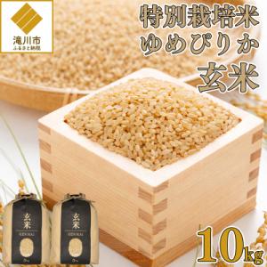 ふるさと納税 滝川市 【特別栽培米】令和7年産 滝川産ゆめぴりか【玄米】10kg  特A ブランド米...