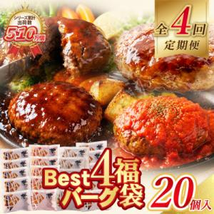 寄附額改定↓↓ 【4回定期便】Best4バーグ(デミグラスソース)20個【合挽4種・各5個】