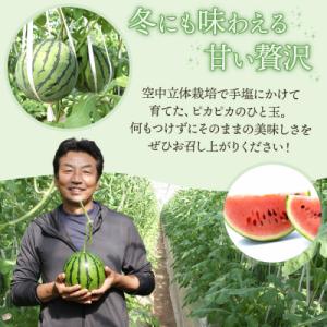 ふるさと納税 香南市 【6回定期便】ルナ・ピエ...の詳細画像2