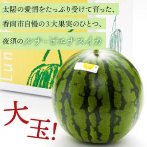 ふるさと納税 香南市 【3回定期便】ルナ・ピエ...の詳細画像1