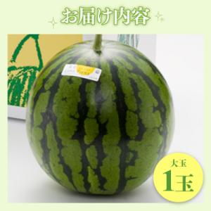 ふるさと納税 香南市 【3回定期便】ルナ・ピエ...の詳細画像2