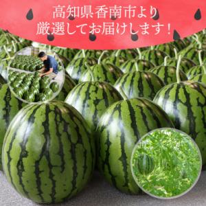 ふるさと納税 香南市 【3回定期便】ルナ・ピエ...の詳細画像3