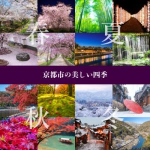 ふるさと納税 京都市 【和装振興応援プロジェク...の詳細画像3