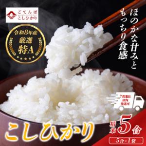 【令和8年産】 米　コシヒカリ　5合　精米　静岡県産　特A　小分け　高評価　【先行予約】
