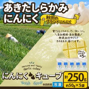 ふるさと納税 大館市 【あきたしらかみにんにく】にんにくCUBE 250g(1袋約50g×5袋)