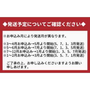 ふるさと納税 鳴門市 【全4回定期便】鳴門大毛...の詳細画像3