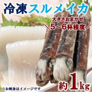 三陸水産 冷凍スルメイカ 約1kg (5～6杯程度)