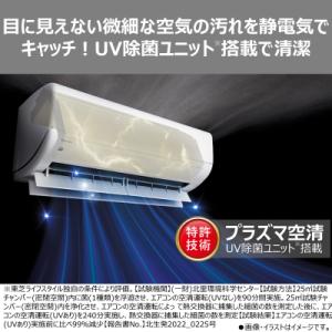 ふるさと納税 川崎市 東芝 エアコン【標準設置...の詳細画像2