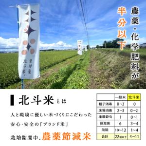 ふるさと納税 東神楽町 【定期便12ヵ月】北斗...の詳細画像2