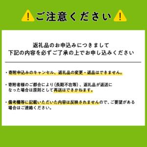 ふるさと納税 東神楽町 【定期便12ヵ月】北斗...の詳細画像3
