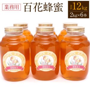 ふるさと納税 八代市 八代市 はちみつ 業務用 百花蜂蜜 2kgビン×6本 セット 計12kg_058-5190