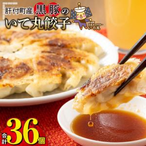 鹿児島県 肝付町産 黒豚 餃子 ギョーザ(計36個・12個入 3パック)【財宝】　P43009