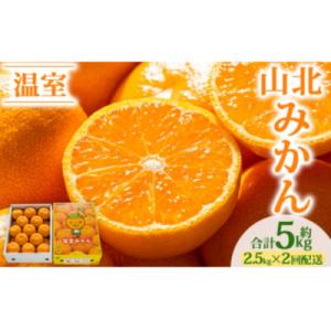 【2回定期便】山北温室みかん2.5kg Wku-0061