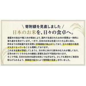 ふるさと納税 氷川町 ひごみのり 無洗米 熊本...の詳細画像1