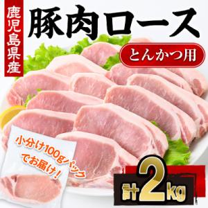ふるさと納税 曽於市 鹿児島県産豚肉ロースとんかつ(100g×20P)