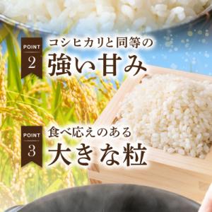 ふるさと納税 天草市 【定期便3回】令和8年産...の詳細画像2