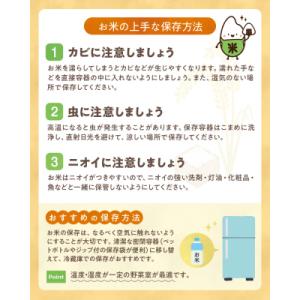 ふるさと納税 天草市 【定期便6回】令和8年産...の詳細画像3