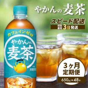 ふるさと納税 三原市 【3か月定期便】やかんの麦茶 from 爽健美茶 650ml×48本(2ケース) [014-111]