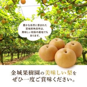 ふるさと納税 角田市 訳あり/2026年先行予...の詳細画像2