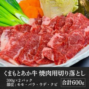 ふるさと納税 八代市 熊本県産 GI認証取得 ...の詳細画像1