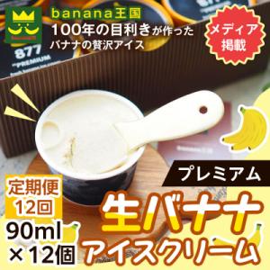 ふるさと納税 名古屋市 【定期便12ヶ月】【果実のままの甘み】プレミアム生バナナアイスクリーム 12個セット