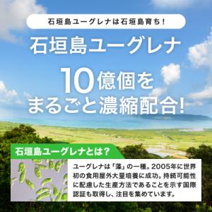ふるさと納税 石垣市 【定期便】《12ヶ月》か...の詳細画像1