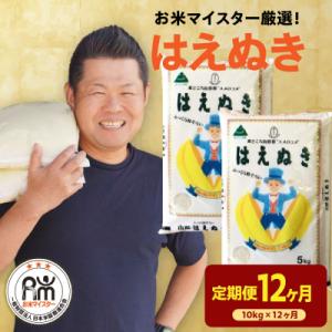 【先行予約】12ヶ月定期便 令和8年産 はえぬき 10kg × 12回 計120kg