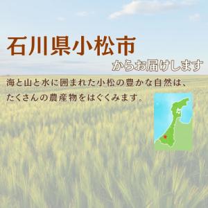 ふるさと納税 小松市 こまつむぎ茶 10袋 ×...の詳細画像3