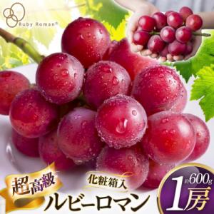 【期間限定発送】 超高級 ぶどう ルビーロマン 1房 約600g 化粧箱入 [38601393]