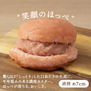 ふるさと納税 天塩町 カスターケーキ イチゴ6...の詳細画像2
