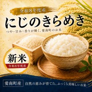 ふるさと納税 愛南町 【先行予約】新米 にじのきらめき 10kg えひめ南農業協同組合